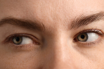 Obraz premium Macro view of young woman with beautiful eyes