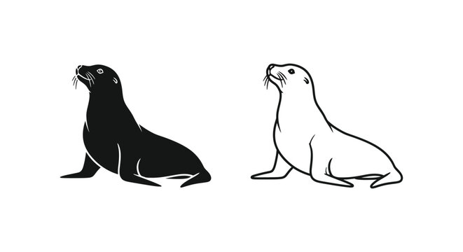 Sea Lions: Identifying Species Guide Vector