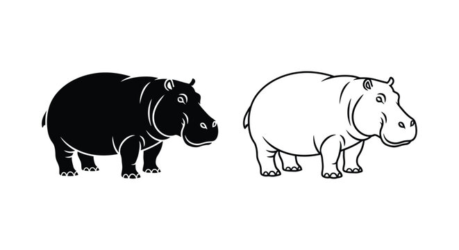 Hippopotamus Types: Black vs White Hippo Guide Vector