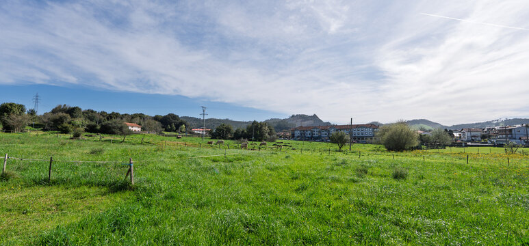Green Pasture Near Village Homes Under Broad Cloudy Sky