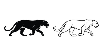 Fototapeta premium Black Panther vs Leopard: Big Cat Comparison Vector
