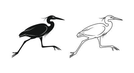 Obraz premium Black and White Heron Birds Illustration Guide Vector