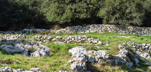 Naklejka premium Rocky Meadow with Dry Stone Walls and Forest Edge