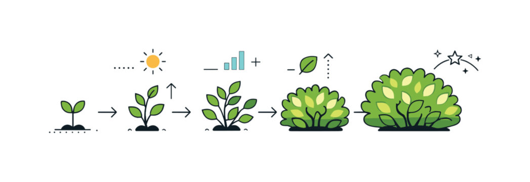 Shrub growth stages. Several shrubs shown in simple stages from small to full shape, smooth progression and natural development. Arrows and abstract indicators