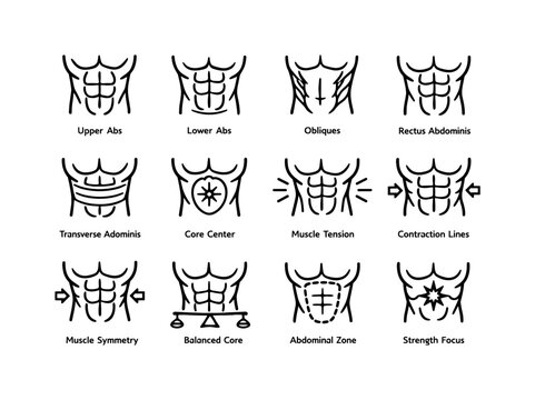 Ab muscle focus. Line icon set of Ab muscle focus: upper abs, lower abs, obliques, rectus abdominis, transverse abdominis, core center, muscle tension,