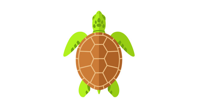 A stylized sea turtle viewed from above against a white background.