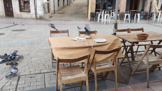 Pigeons eating leftover bread on an empty restaurant terrace