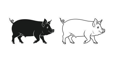 Pig Breeds Comparison: Black vs White Pig Vector © Sapla