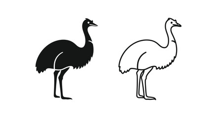 Fototapeta premium Emus vs Ostriches: Flightless Bird Comparison Vector