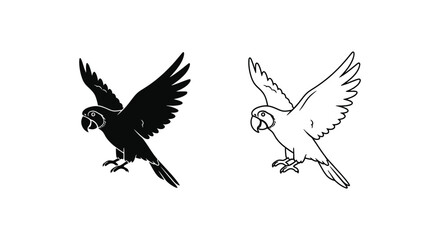 Fototapeta premium Parrot Flight Designs: Sketch Art & Vector Illustrations Vector