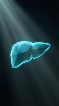 Polygonal liver organ with dramatic lighting rays for medical education, healthcare presentations, anatomy studies, and hepatology research materials.