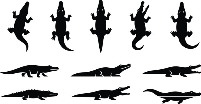 Black Crocodile Silhouettes in Top and Side View Perspectives.