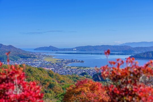 日本三景・天橋立の秋の絶景：鮮やかな紅葉と青い海のパノラマ風景