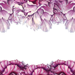 Watercolor peony frame with top and bottom floral borders, featuring soft blush and rich pink tones. Pink botanical template with open center, perfect for wedding invitations, cards, luxury branding © el_suhova