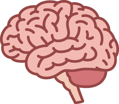 Stylized Human Brain Illustration anatomy science