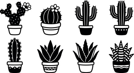 Fototapeta premium Potted cactus and succulent plants with floral details