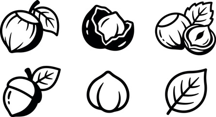 Fototapeta premium Different nuts and leaves set in simple line style