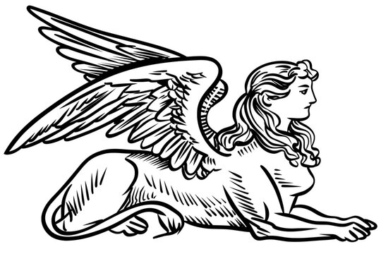 High-contrast vector-style drawing of a Sphinx in a reclining pose. Features intricate feather details on large wings and a serene facial expression. Ideal for history, mythology, riddle-themed design