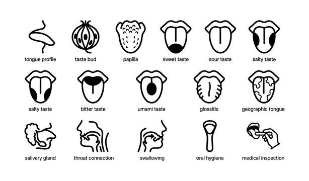 Taste profiles and oral anatomy: icon set with tongue function and medical aspects