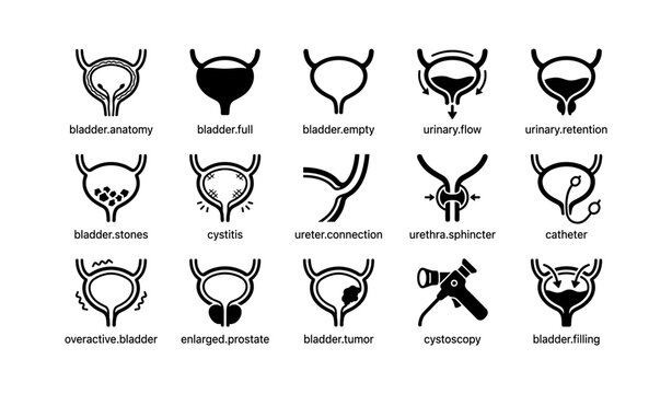 Bladder health icons: anatomy, stones, cystitis, prostate, cystoscopy, urinary issues