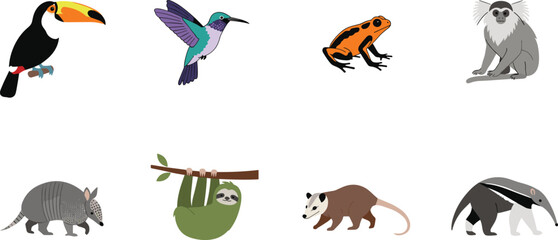 Obraz premium Exotic Animals and Birds Vector Illustration Set Featuring Toucan, Hummingbird, Frog, Koala, Sloth, Armadillo, Anteater, and Opossum in Flat Cartoon Style.