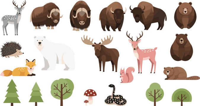 Forest Animals Vector Illustration Set Featuring Bear, Bison, Deer, Fox, Hedgehog, Raccoon, Snake, and Trees in Cute Flat Style for Nature Design Projects.