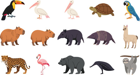 Obraz premium Wild Animals and Birds Vector Illustration Set Featuring Jungle, Forest, and Exotic Species Including Toucan, Parrot, Turtle, Leopard, Bear, and Sloth for Nature Design.