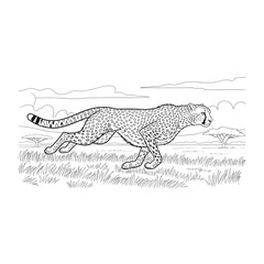 Ink drawing of a running cheetah © TWINS