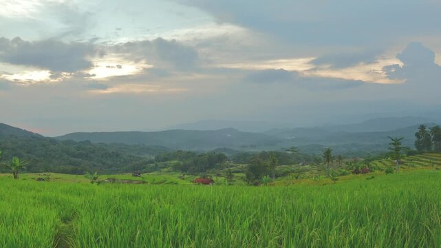 Moody sunset over terraced rice fields under a dramatic cloudy sky. Captures the tranquility and natural beauty of the tropical countryside at dusk. Cimanggu, CIlacap, Indonesia.
