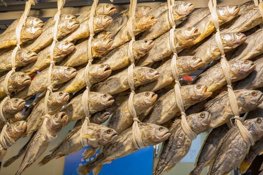 Dried yellow croakers tied with strings for sale at a traditional market in south korea.