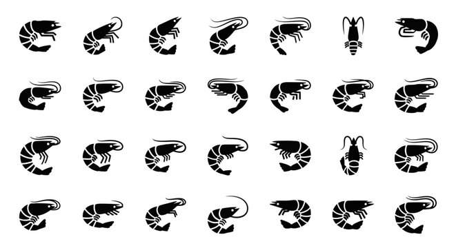 Black and white seashell icons, shell silhouettes, ocean symbol set, 25 vector graphics