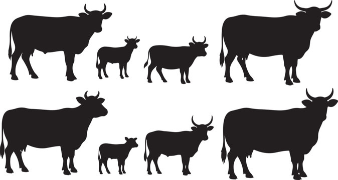 Black cow and calf silhouettes on white background