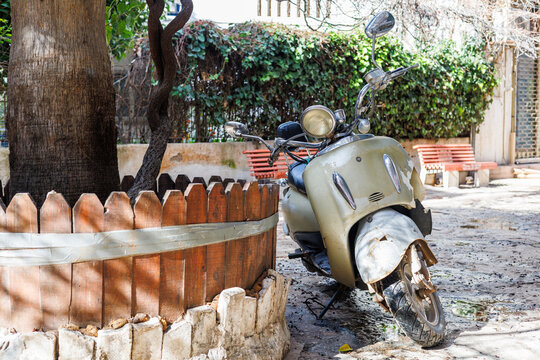 Old vintage scooter parked next to a tree with a wooden fence