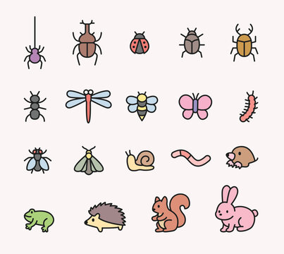 A collection of cute insects and small animals living in nature. Design vector illustration with outlines.