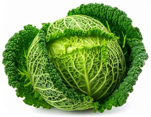 Fototapeta premium Organic Cabbage Vegetable Isolated on White Background