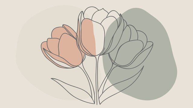 Minimalist line drawing of three tulips with abstract color accents on a muted background.