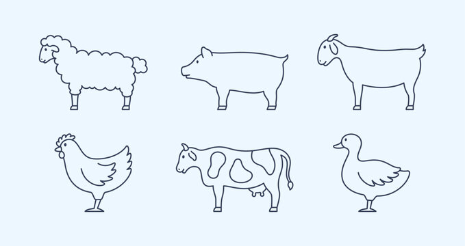 Farm Animals Line Art Set. Vector Illustration of Outline Goat, Cow, Sheep, Pig, Chicken, and Duck in Thin Lines.