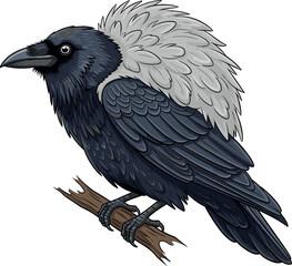 Fototapeta premium Raven Perched on Branch Illustration Featuring Detailed Black and Gray Bird for Wildlife, Birds, and Nature Designs