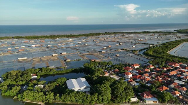 Aerial View of Mangrove Forest, Traditional Salt Pond near the beach, and Coastal Residential Area in Indonesia