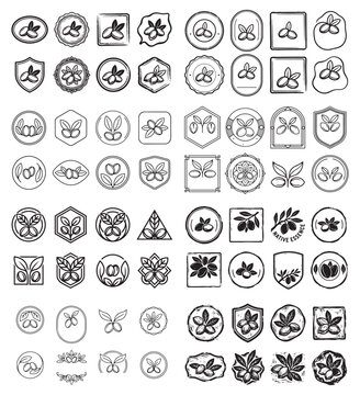 Argan branch and fruit symbols set for natural organic product branding.