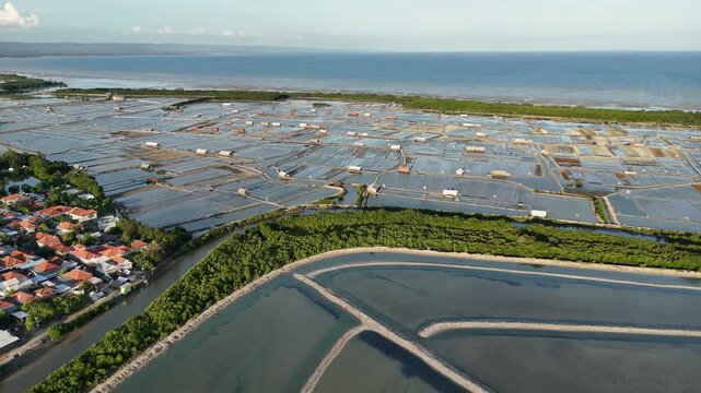 Aerial View of Mangrove Forest, Traditional Salt Pond near the beach, and Coastal Residential Area in Indonesia