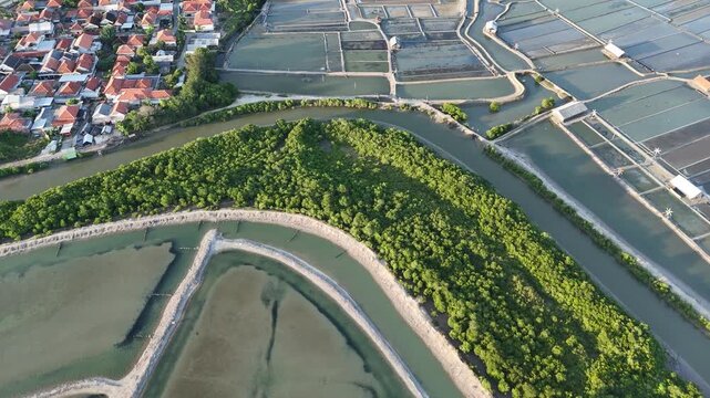 Aerial View of Mangrove Forest, Traditional Salt Pans, and Coastal Residential Area in Indonesia