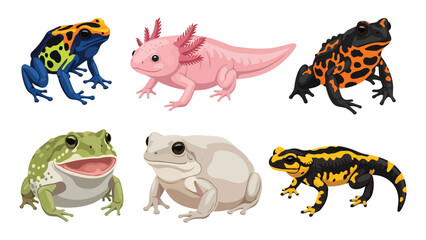 Fototapeta premium Vibrant Amphibian Set: Cartoon Frogs, Axolotl, and Salamander Vector Illustrations