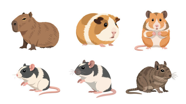 Cute Cartoon Pet Rodents Set - Capybara, Guinea Pig, Hamster, Rats & Degu Illustrations