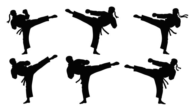 Martial Arts Silhouette: Dynamic Kick Sequence