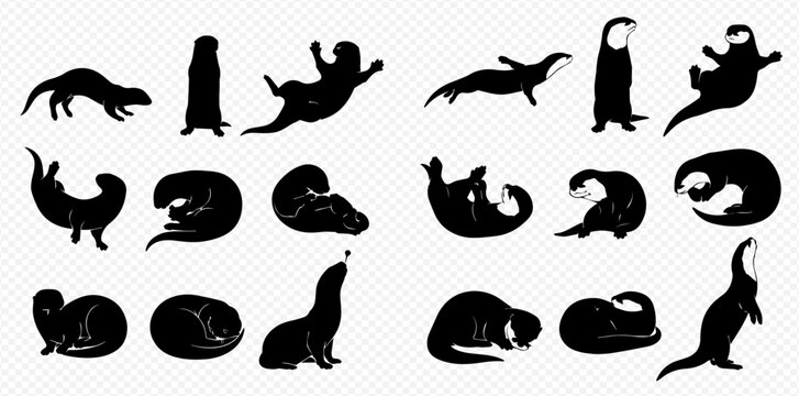 Set of Otter Silhouettes in Various Poses, Isolated on a Transparent Background.