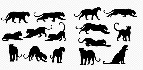 Collection of black panther and leopard silhouettes in various poses, depicting wild cats in different actions. © Akun