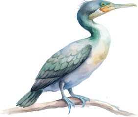 Fototapeta premium Watercolor Cormorant Bird Illustration, Diving Sea Bird Clipart vector isolated on white background