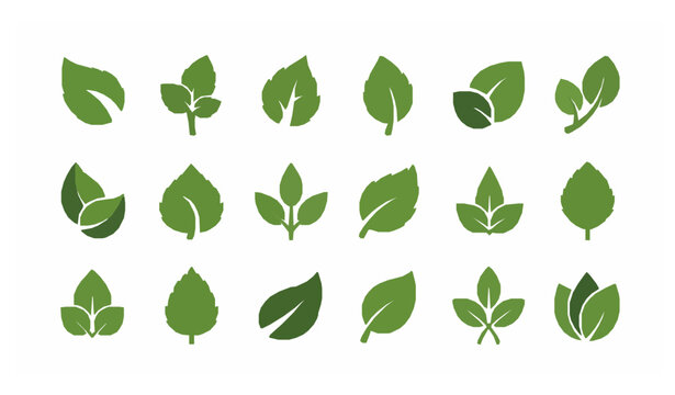Green Leaf Icon Set Eco Bio Vegan Nature Flat Vector