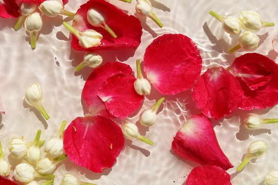 rose petals and jasmine scattered in rippling water, Songkran festival background.